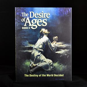 THE DESIRE OF AGES BOOK 2: THE DESTINY OF THE WORLD DECIDED